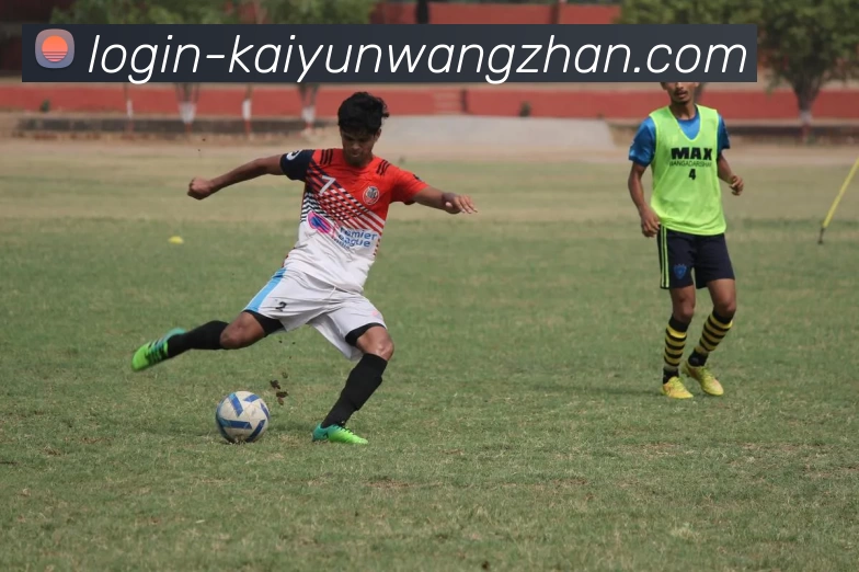 开云平台生态图